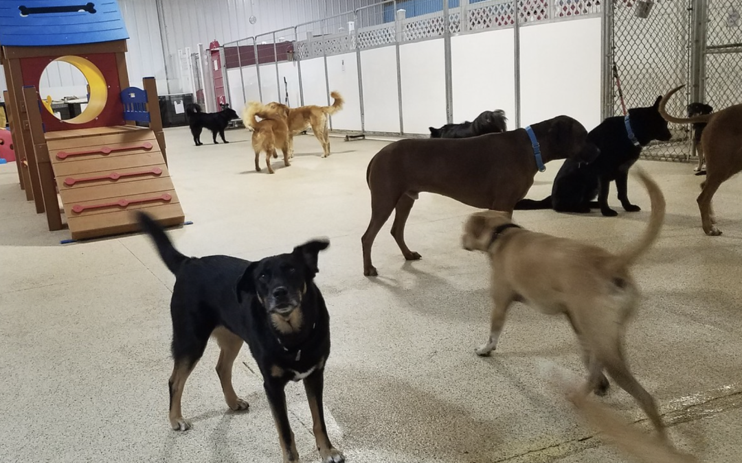 5 December 2024 – Playtime