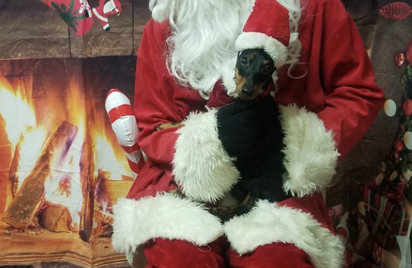 Santa Pics 2024