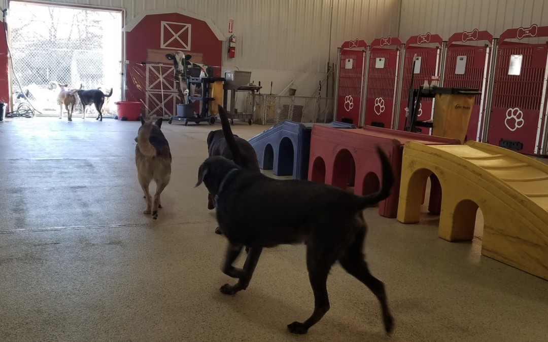 14 December 2024 – Playtime