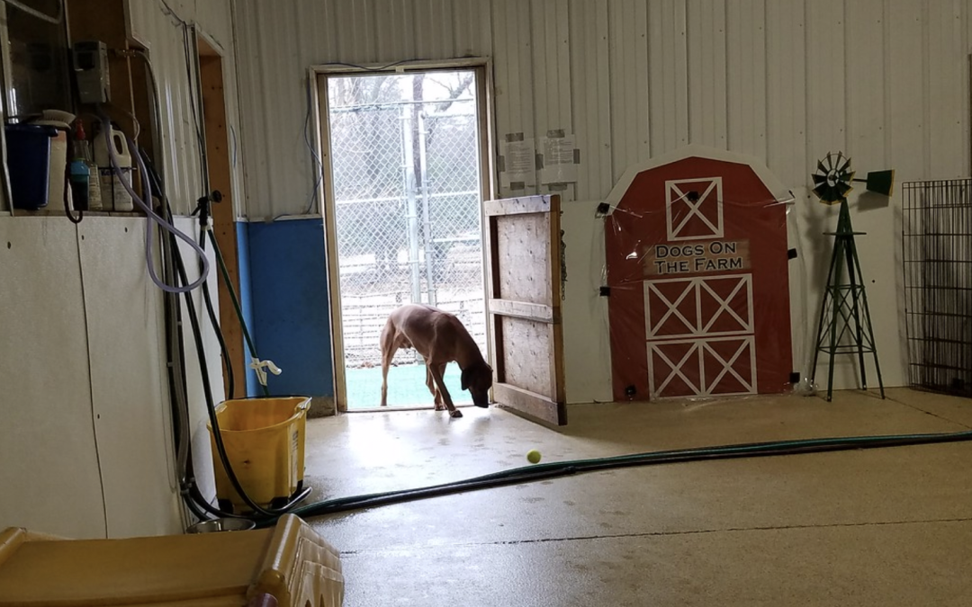 16 December 2024 – Indestructiball