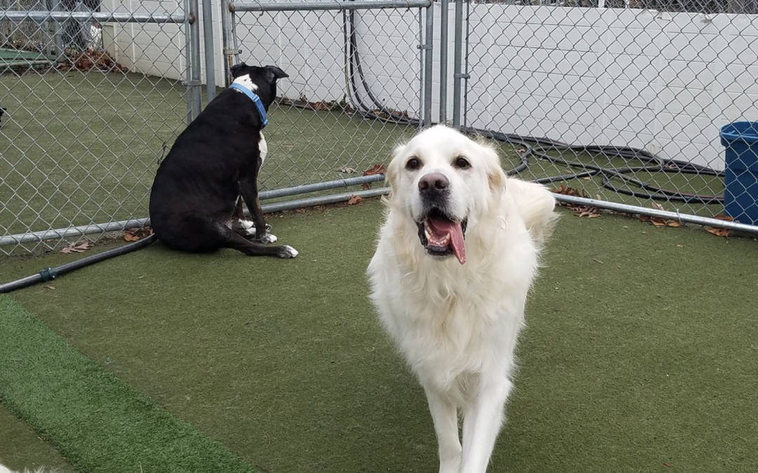 17 December 2024 – Playtime