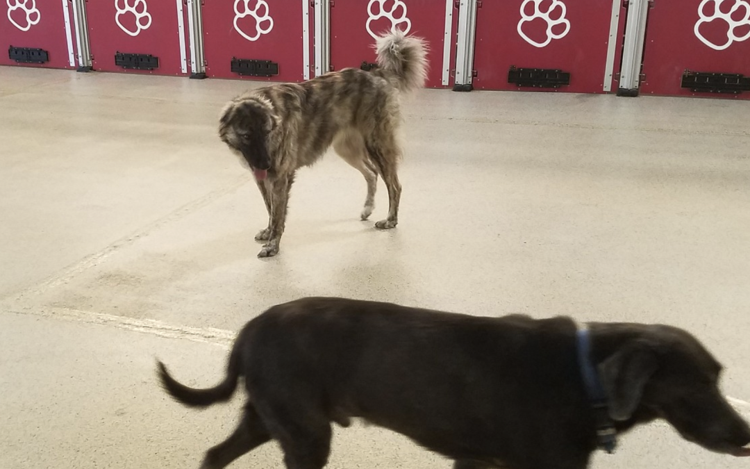 18 December 2024 – Playtime