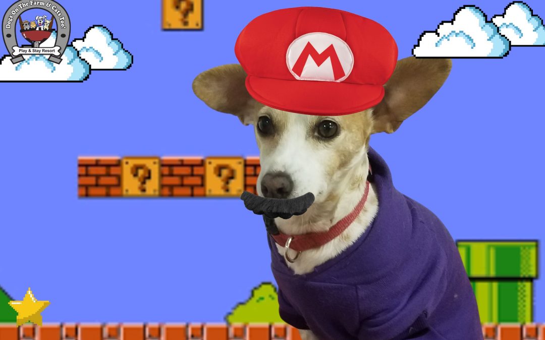 Mario Day