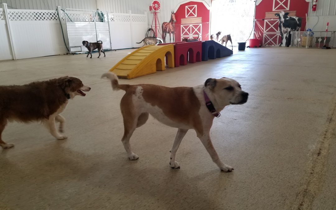 3-3-25 Playtime! :)