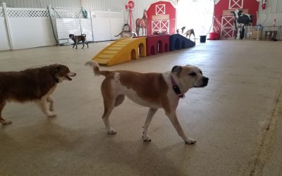 3-3-25 Playtime! :)