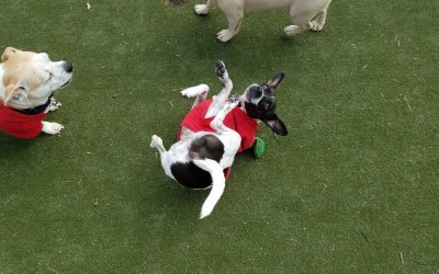 3-6-25 Playtime! :)