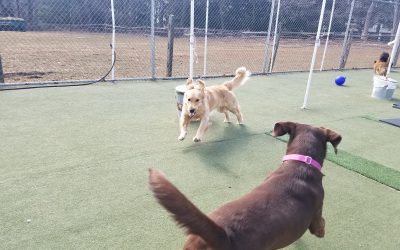 3_14_25 Jolly Ball Play :-)
