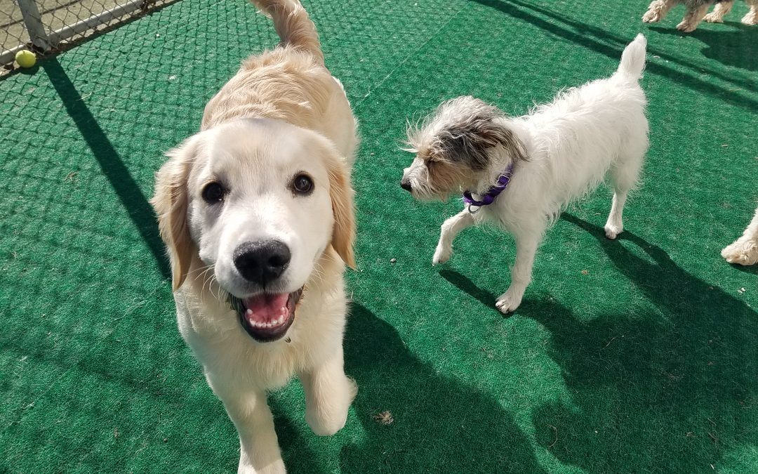 3.18.2025 Play time! :)