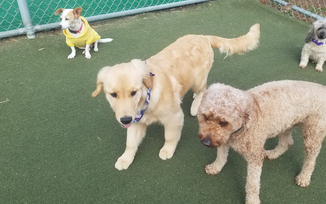3-31-25 Playtime! :)