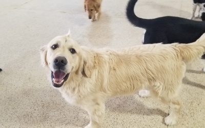 4/1/25 Playtime! :)
