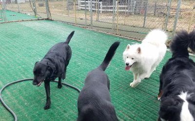 4-5-25 Playtime! :)