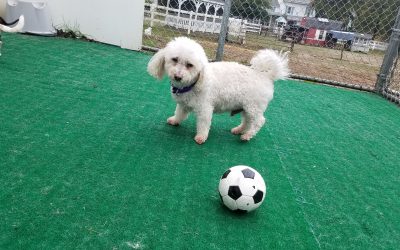 4-12-25 Soccer Play! :)