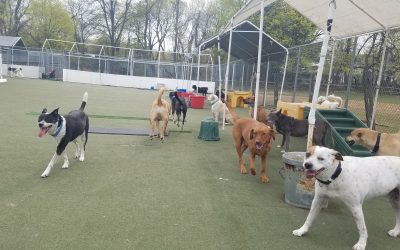 4-19-25 Playtime! :)