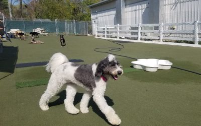 4-24-25 Playtime! :)