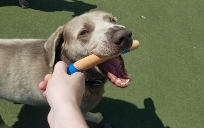 4-24-25 Chuck It! :)