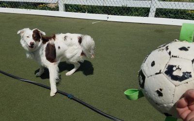 4-25-25 Playtime! :)