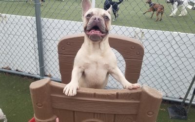 4-26-25 Playtime! :)