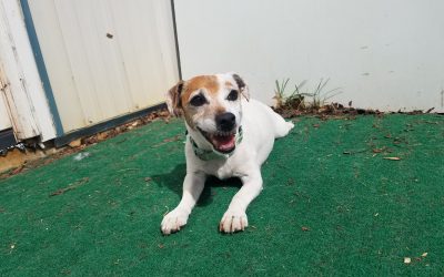 4-27-25 Playtime! :)