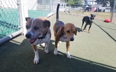 4/28/2025 Playtime! :)