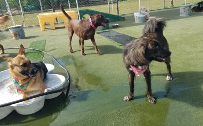 4-30-25 Playtime! : )