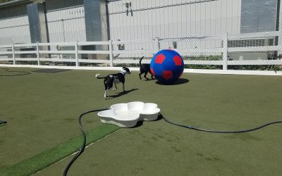 4-30-25 Ball Play! : )