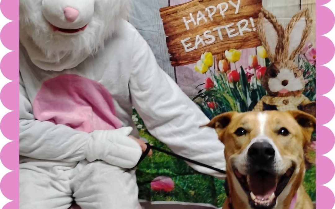 Easter Bunny Visits the Farm
