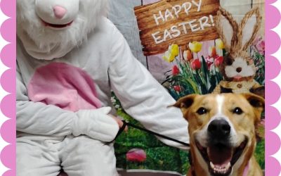 Easter Bunny Visits the Farm