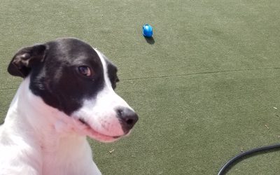 5/21/2025 Playtime! :)