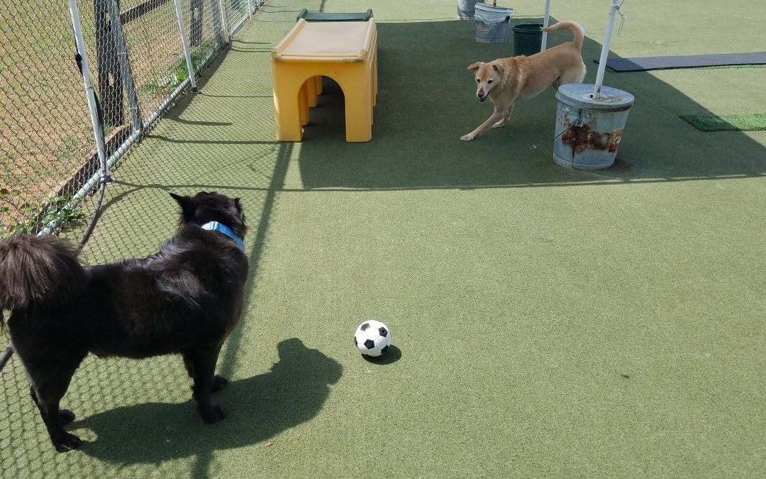 5-1-25 Soccer! :)
