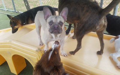 5-3-2025 Playtime! :)