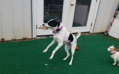 5-4-25 Star Wars Toys! :)