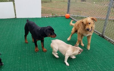 5-5-2025 Playtime! :)