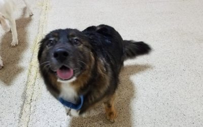 5/6/2025 playtime!:)