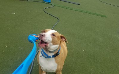 5-6-2025 Chuck it Play!:)