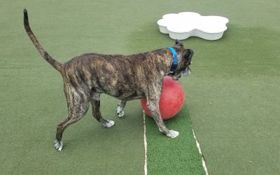 5-7-2025 Small Group Ball Play!:)