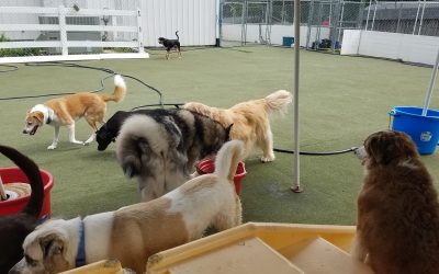 05_08_25 Playtime :-)