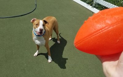 05_08_25 Football Play :-)