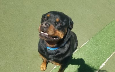 5-10-25 Playtime! :)