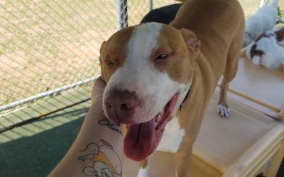 5-11-25 Playtime! :)