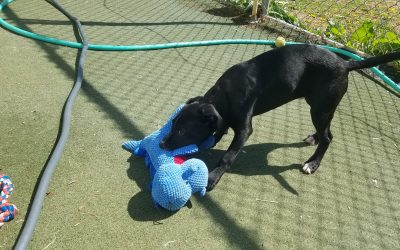 5-12-25 Playtime! :)