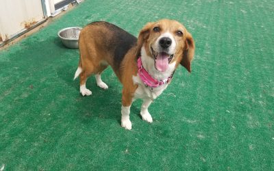 5-13-2025 Playtime! :)