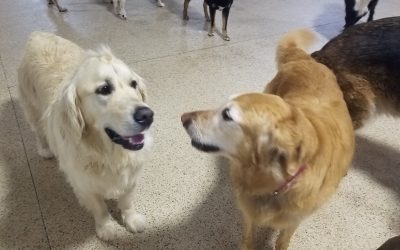 5-14-25 Playtime! : )