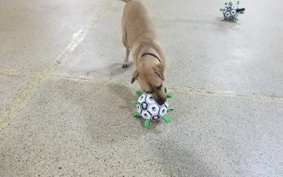 5-14-25 Soccer Play! : )