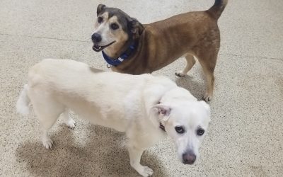 5-15-25 Playtime! :)