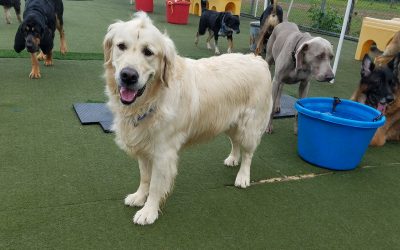 5-17-25 Playtime! :)