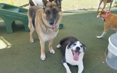 5-18-25 Playtime! :)