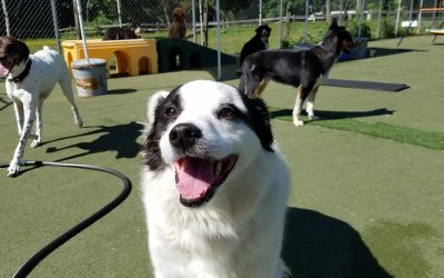 5-19-2025 Playtime! :)