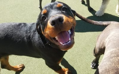 5-20-2025 Playtime! :)