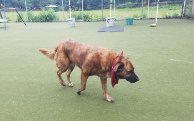 5-22-25 Playtime! :)