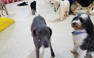 5-23-25 Playtime! :)